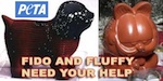 Thumbnail image for PETA: Mexican quinoa vs chia cartel wars hurt Fido, Fluffy