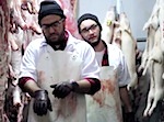 Thumbnail image for Everyone has a double: ‘Doppelganger’ by Elphomega (music video)