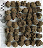 Thumbnail image for Mayans cooked their food with balls, archaeologists say