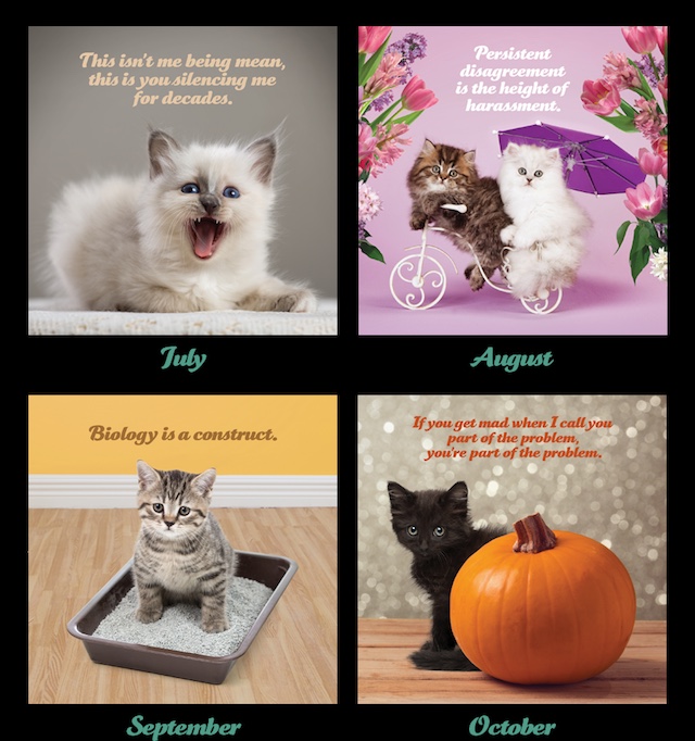 Social Justice Kittens 2018 Calendar contains 12 woke months! (toon